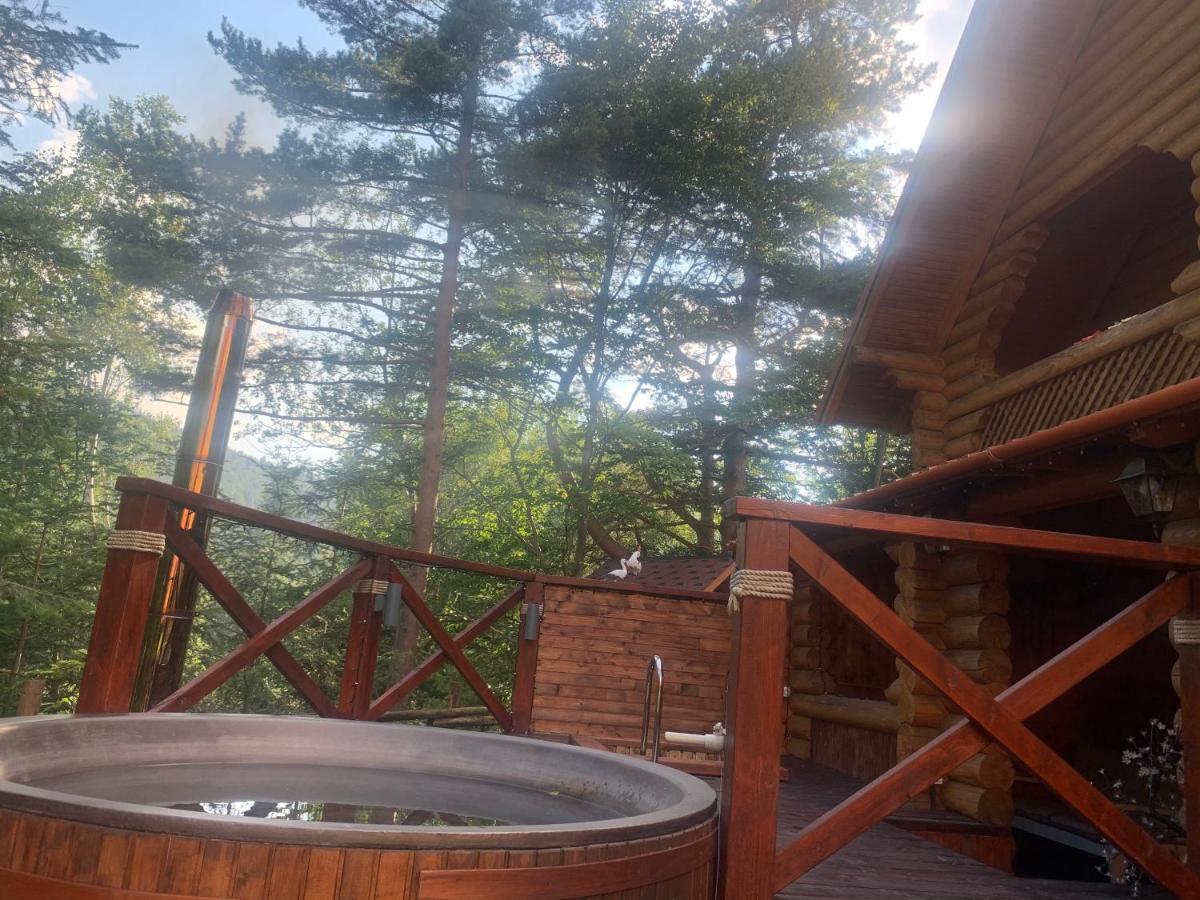 Котедж "Villa Затишна" Mikulicsin Kültér fotó