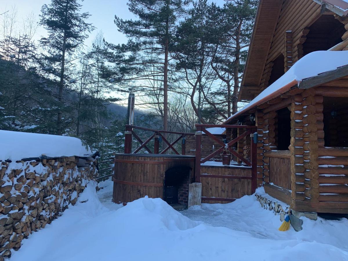 Котедж "Villa Затишна" Mikulicsin Kültér fotó