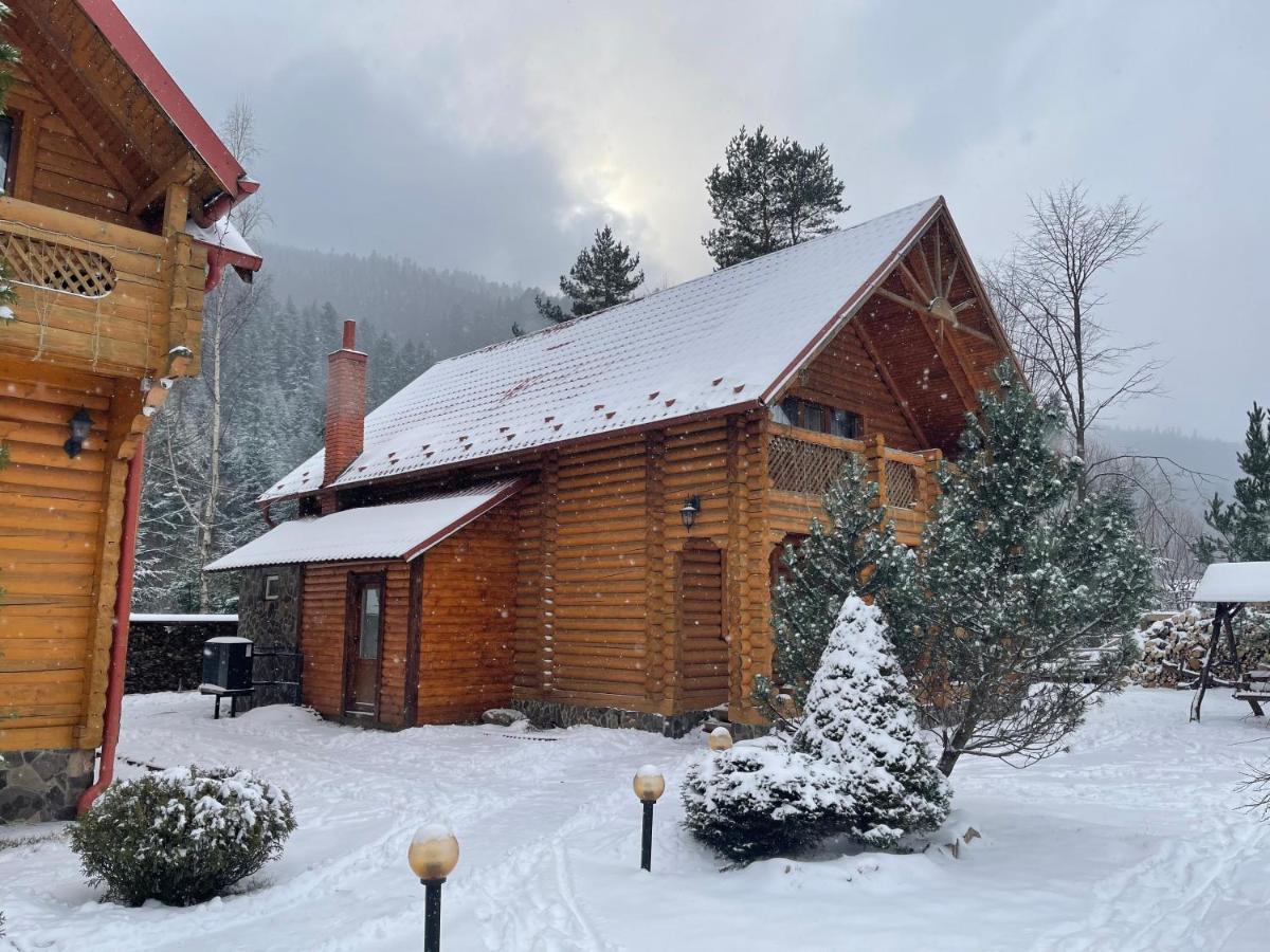 Котедж "Villa Затишна" Mikulicsin Kültér fotó