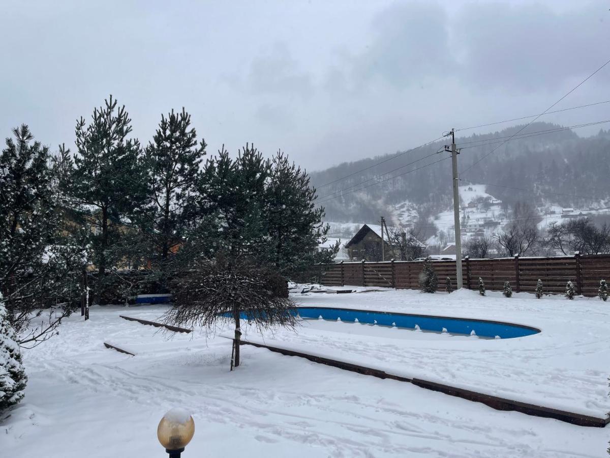 Котедж "Villa Затишна" Mikulicsin Kültér fotó