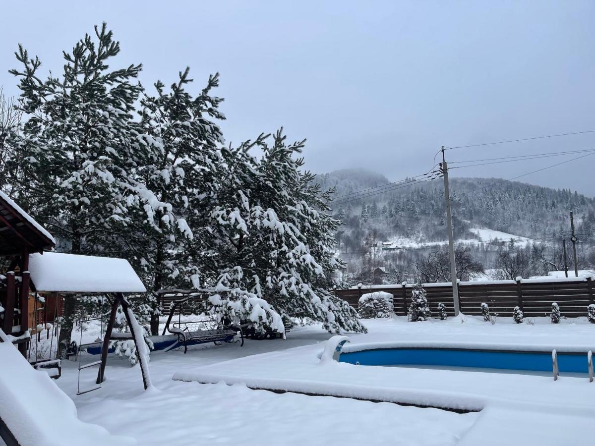 Котедж "Villa Затишна" Mikulicsin Kültér fotó
