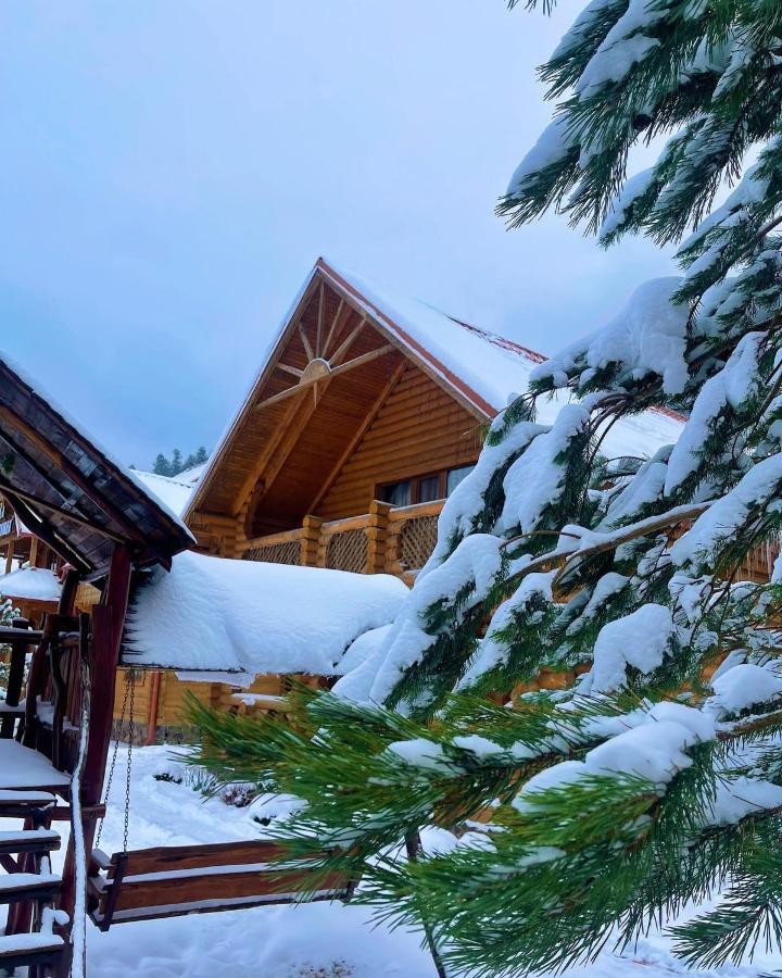 Котедж "Villa Затишна" Mikulicsin Kültér fotó