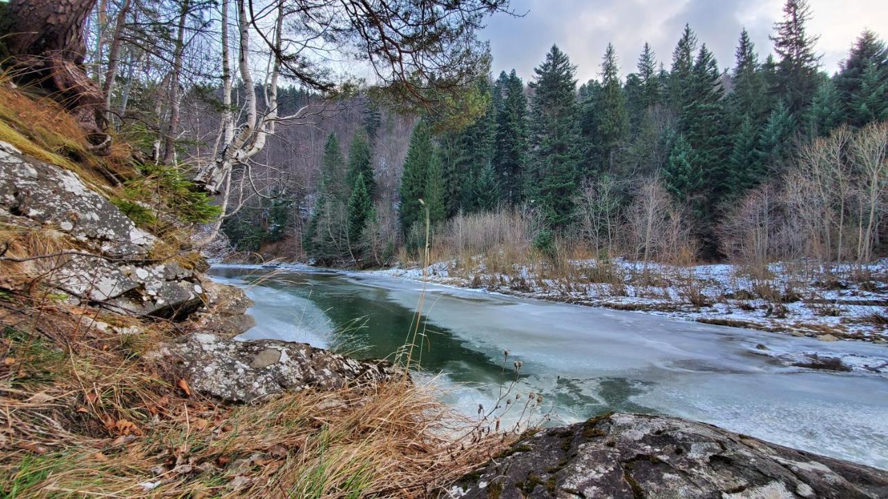 Котедж "Villa Затишна" Mikulicsin Kültér fotó