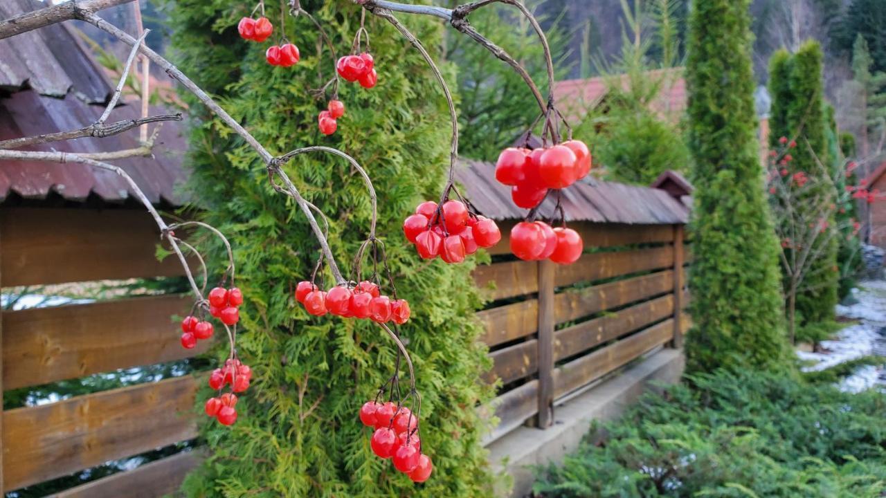 Котедж "Villa Затишна" Mikulicsin Kültér fotó