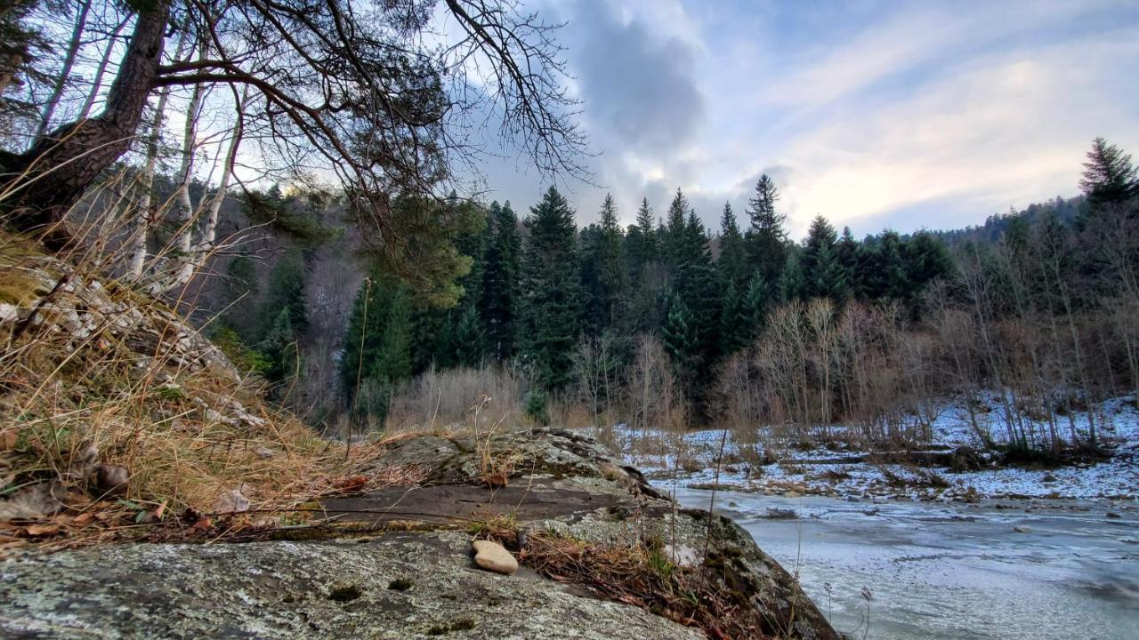 Котедж "Villa Затишна" Mikulicsin Kültér fotó